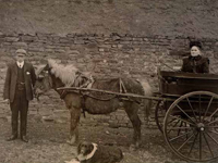 Isabella Faill (b1838) with son Alexander Faill Moralee (b1885), Kitty the horse and Lassie the dog c1905-15, Blackhill